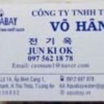보한 VÕ HAN