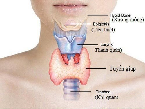 Viêm tuyến giáp có thể tiến triển gây suy giáp - Ảnh: BSCC