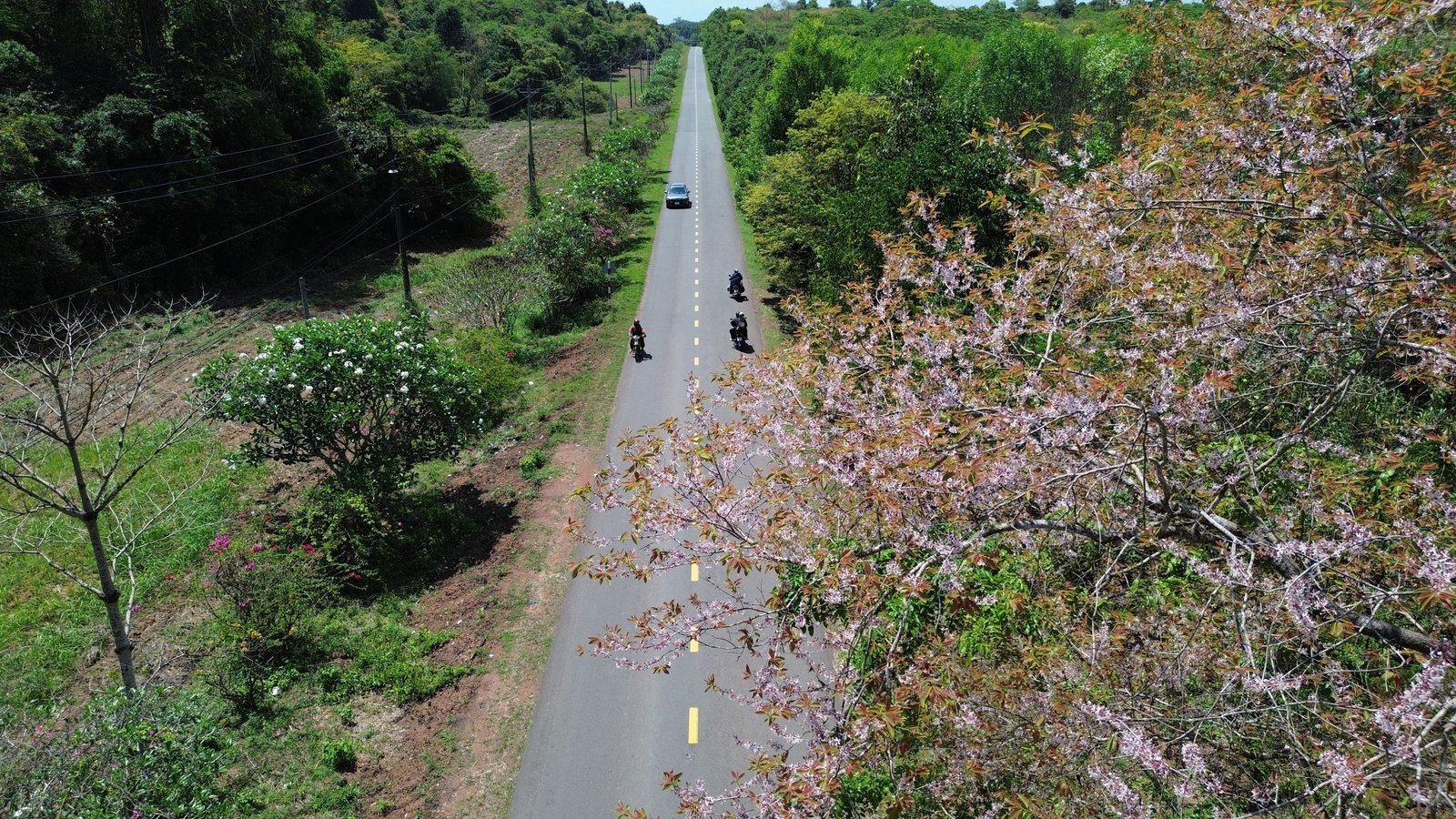 Tỉnh lộ 767 chạy xuyên qua Khu bảo tồn thiên nhiên văn hóa Đồng Nai với cảnh sắc