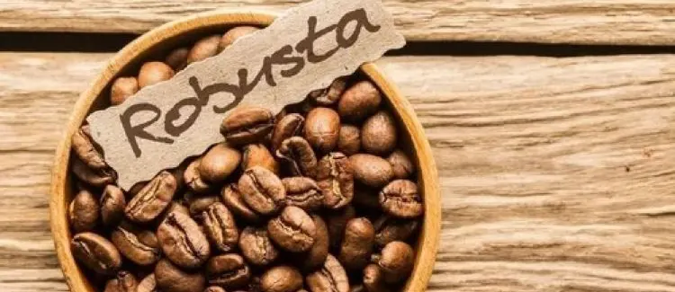 로부스타 원두