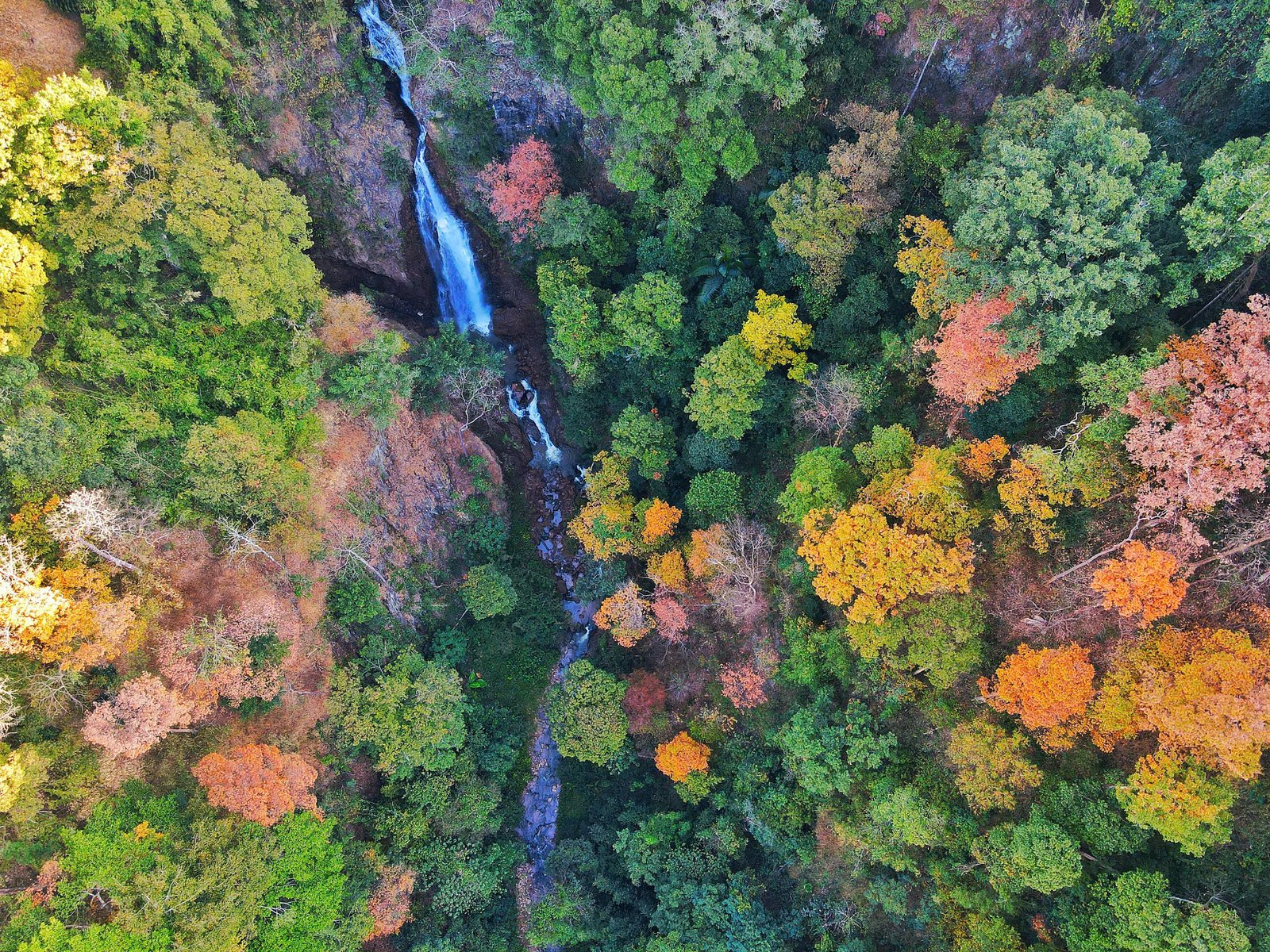 Còn phía tây tỉnh là cảnh sắc tuyệt đẹp của đại ngàn - Ảnh: TRẦN MA