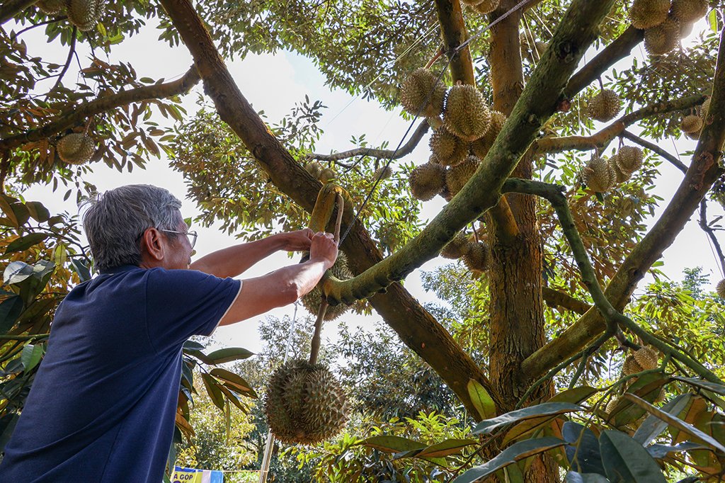 Trung Quốc vươn lên thành thị trường tiêu thụ nông lâm thủy sản lớn nhất của VN