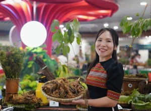 900그램 응옥린 인삼, 7억 2,500만 동에 낙찰