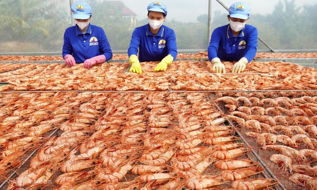 미국의 새 관세, 베트남 수산물에 압박 가중