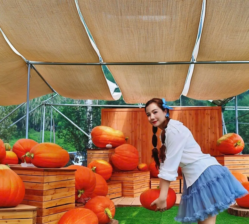 100kg 넘는 호박밭, 광닌 성에서 관광객 몰려