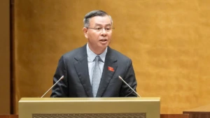 닌투언 원전 사업을 3개 독립 사업으로 분리 제안