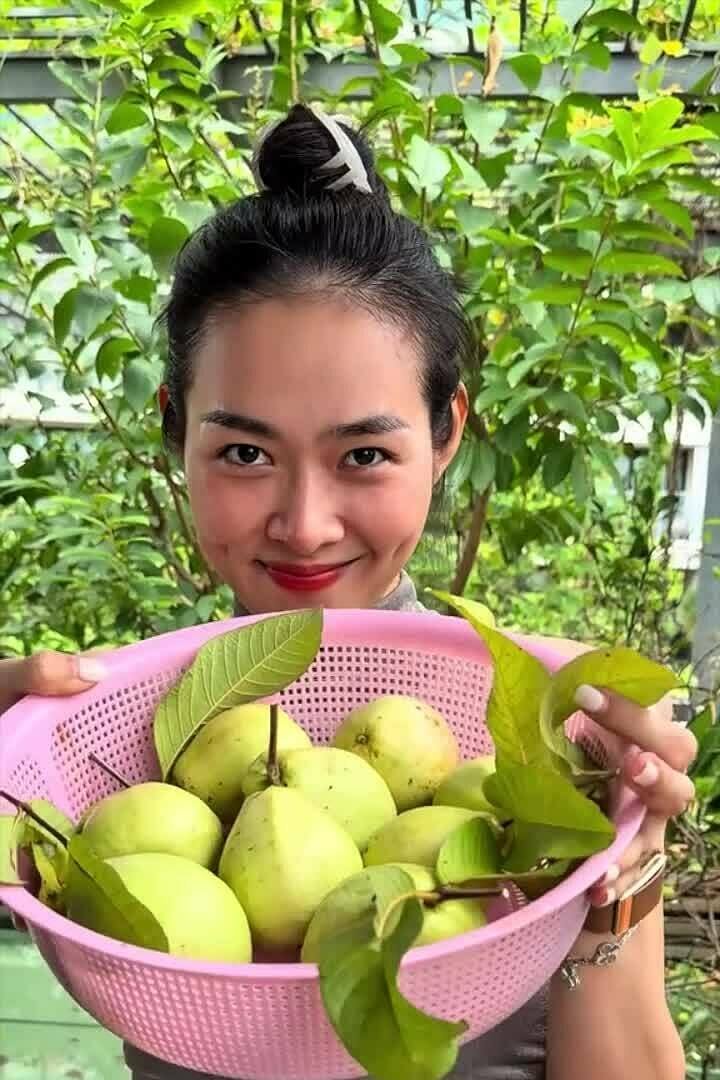Diệp Bảo Ngọc, 옥상 텃밭에서 과일 수확