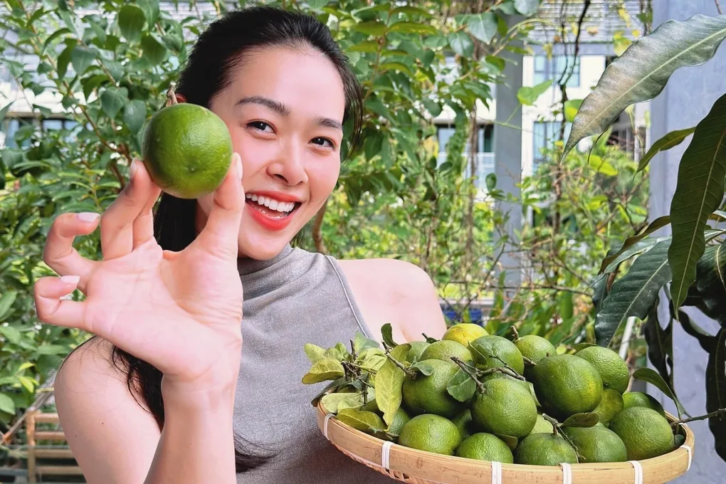 Diệp Bảo Ngọc, 옥상 텃밭에서 과일 수확