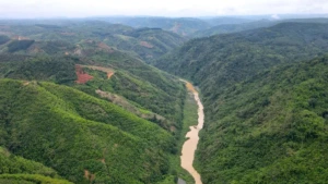 람동성, 동나이강 횡단 1.2km 사장교 건설