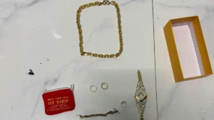 10억 동 상당 금 절도범, 휴양지에서 체포