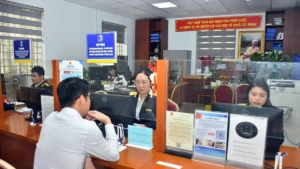 세무국, 3일 내 세금 번호 폐쇄 처리 목표 설정
