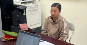 타인 소유 산림 매매 사칭한 여성, 2억 동 이상 편취