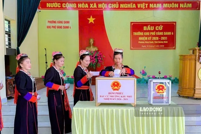 비전임 활동가, 규정에 따라 사회보험 혜택 수령