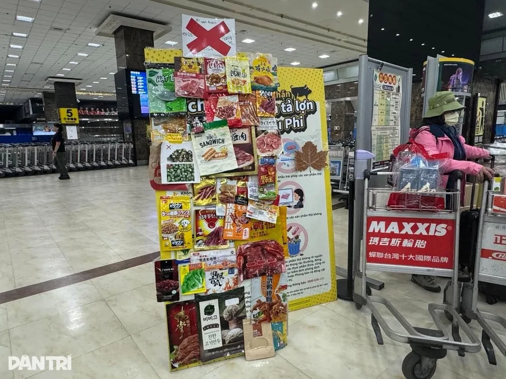 베트남 여행객 주의: 대만, 육류 월병 미신고 반입 시 8억 2천만 동 벌금