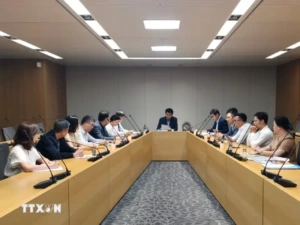베트남 정부 잡지, 한국어 사이트 구축 추진