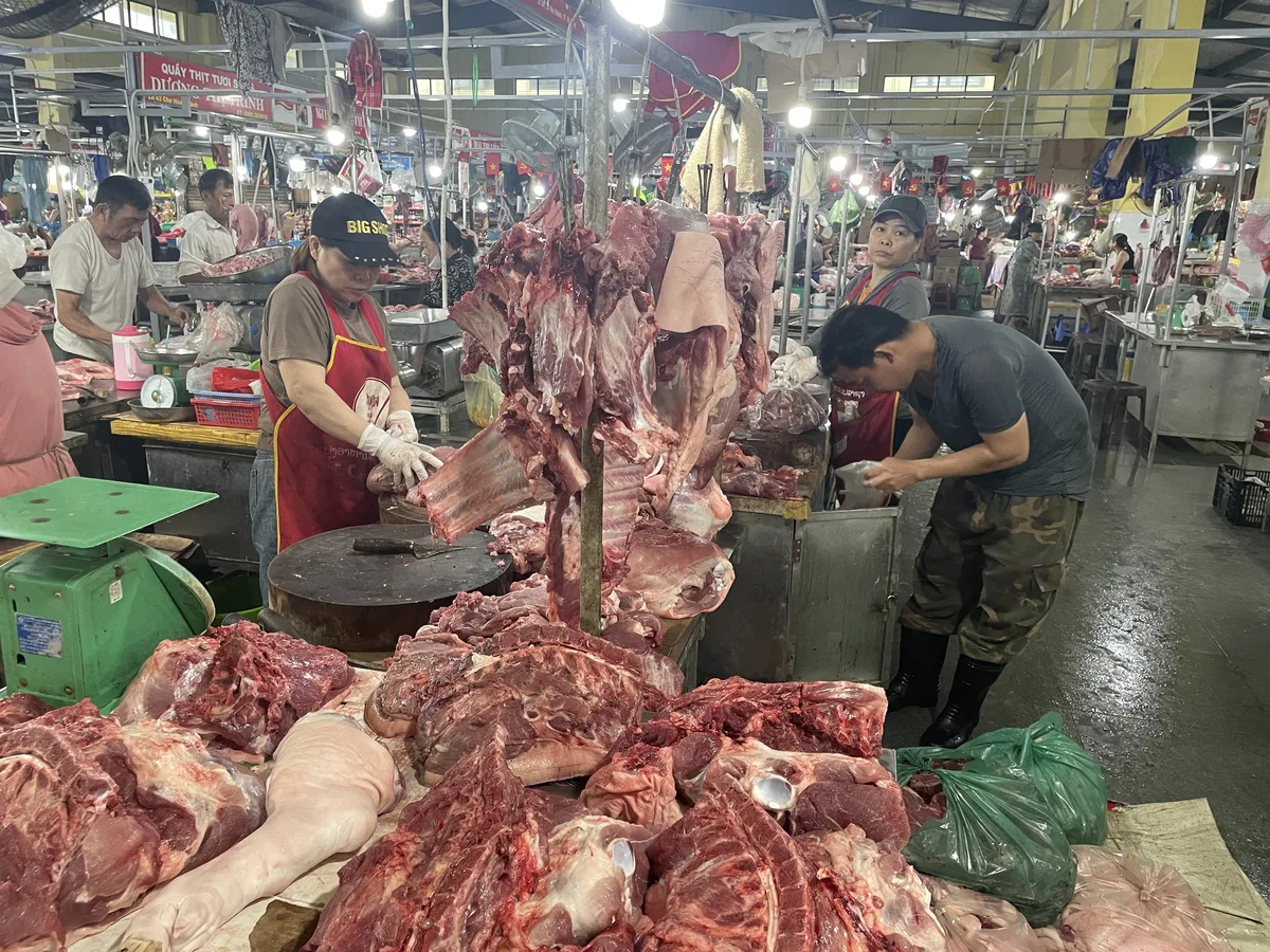 서부지역 샬롯 가격 kg당 4만~5만 동…재배 면적 80% 줄어 작년 대비 2배 상승