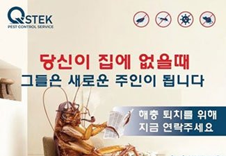 큐스텍  QSTEK