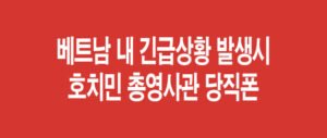 베트남 내 긴급상황 발생시